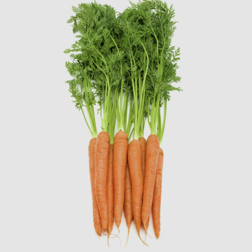 Carrots