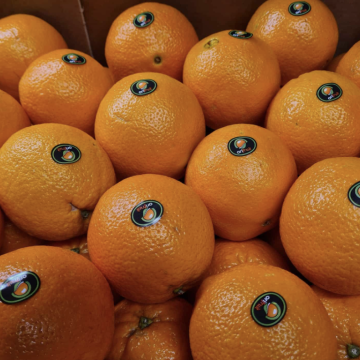 Oranges 