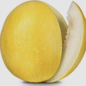 Melon (Honeydew) 